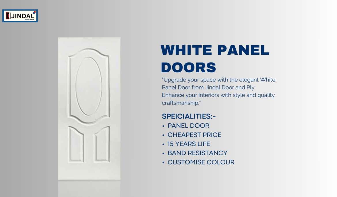 White Panel Door