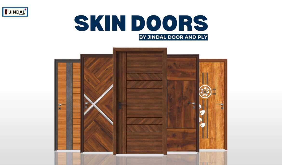 Skin Doors in Zirakpur